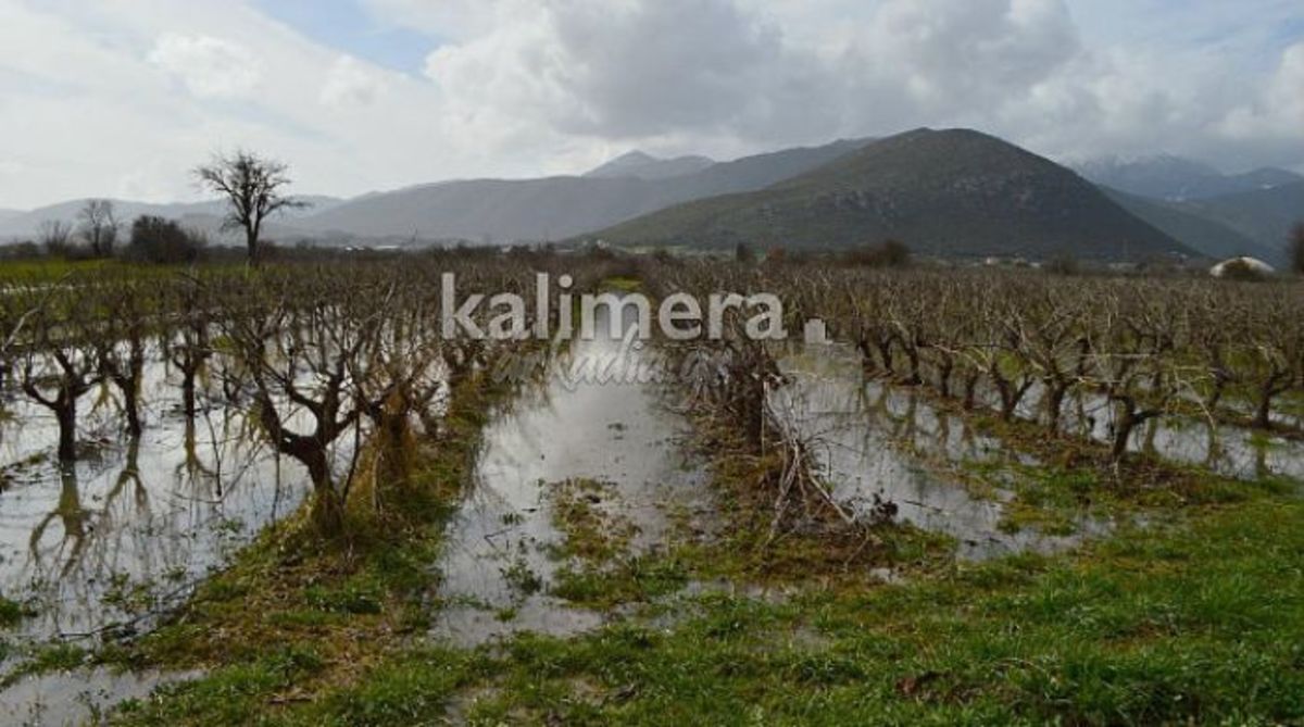ΦΩΤΟ από το kalimera-arkadia.gr