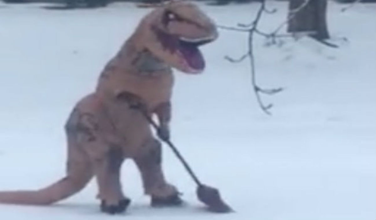 Ντύθηκε τυραννόσαυρος Ρεξ και πήγε να μαζέψει το χιόνι με το φτυάρι του! (ΒΙΝΤΕΟ)
