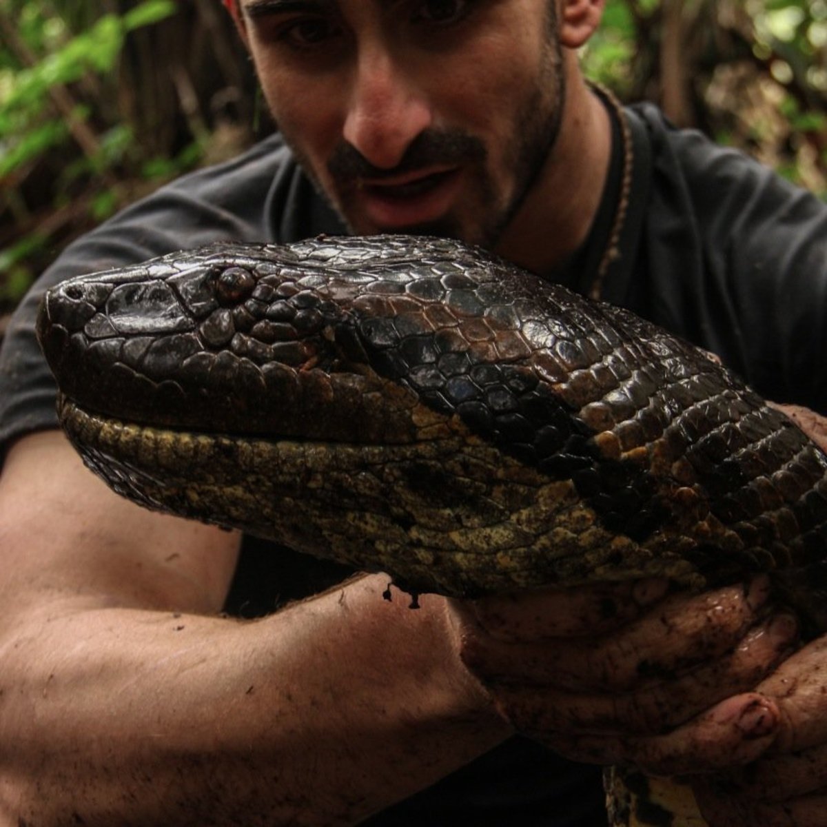 Τo reality που ξεπερνά κάθε όριο: Ανακόντα τρώει άνθρωπο on camera