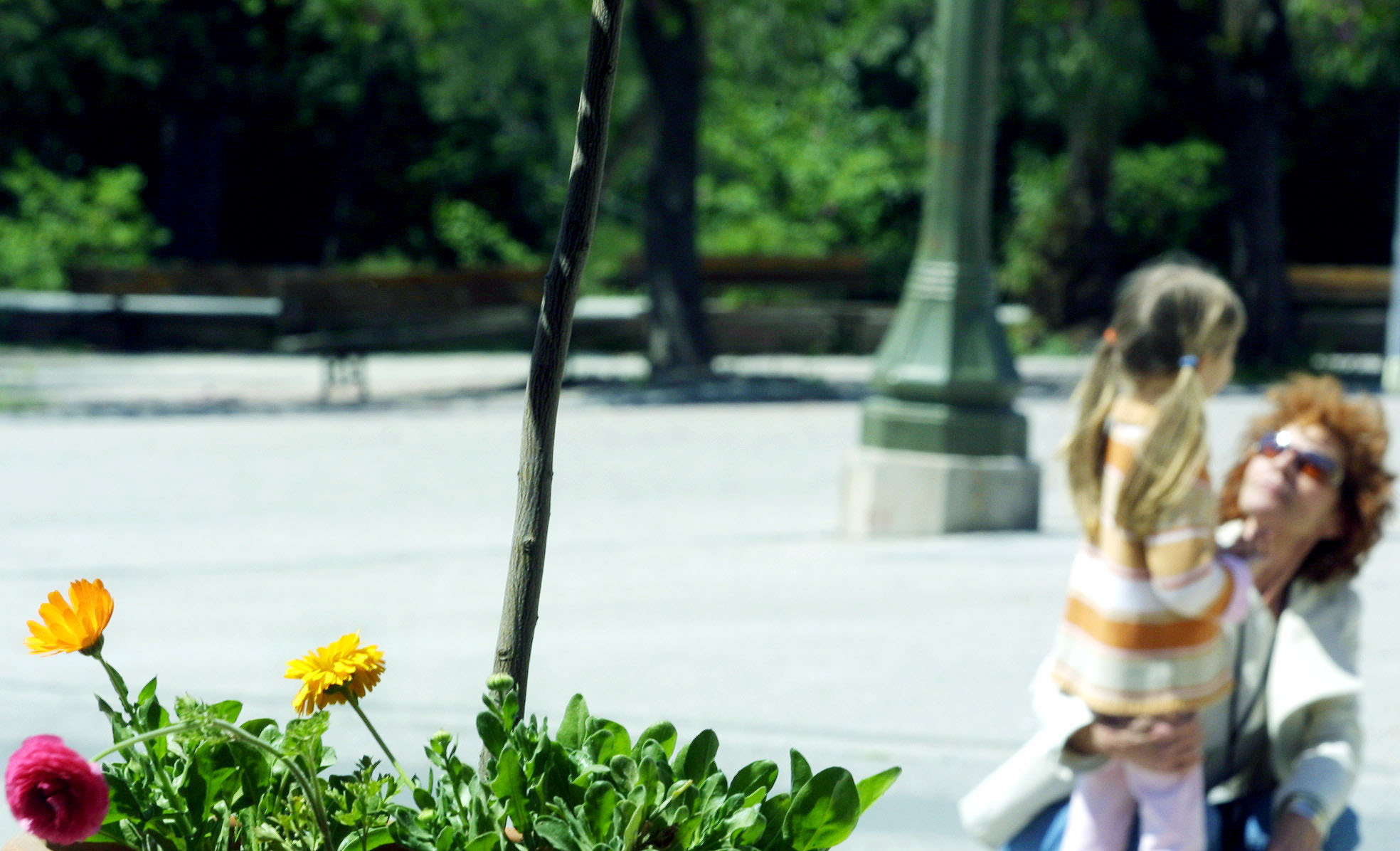 Βοριάδες και μικρή πτώση της θερμοκρασίας – Τι καιρό θα κάνει το Σαββατοκύριακο