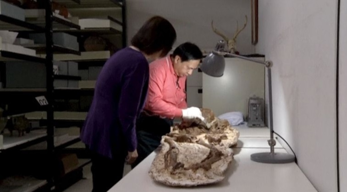 Ανακάλυψαν απολίθωμα 4.800 ετών, μια μητέρα να κρατά στην αγκαλιά το μωρό της!