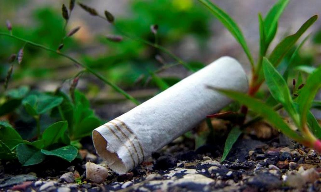 Χάος από τα αποτσίγαρα στο περιβάλλον – Κίνδυνος για την τροφική αλυσίδα