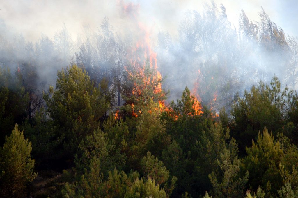 Φωτιά στον Πύρριχο Αρεόπολης