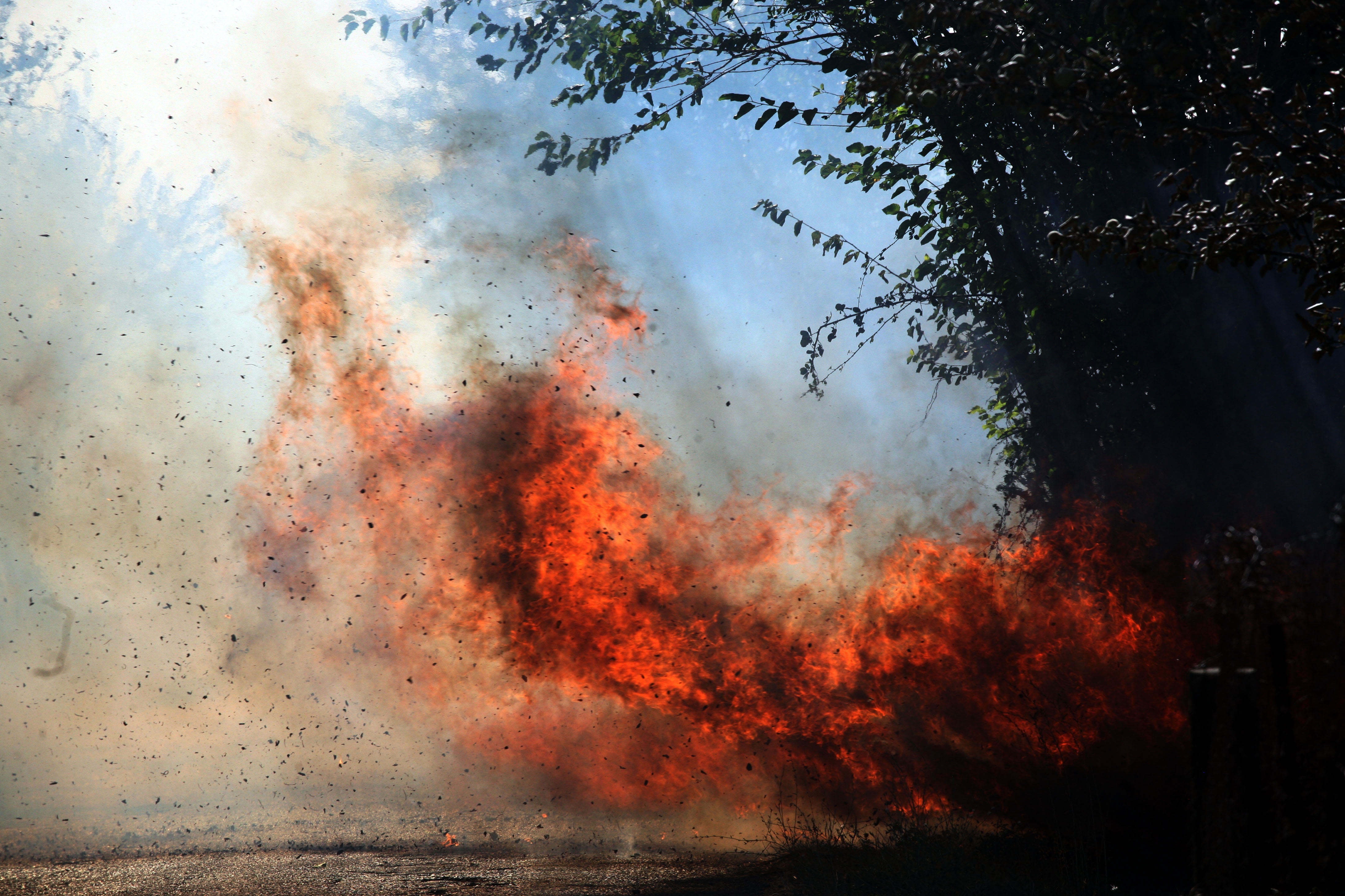 Κολώνα της ΔΕΗ “έβαλε” την φωτιά στην Αρκαδία!