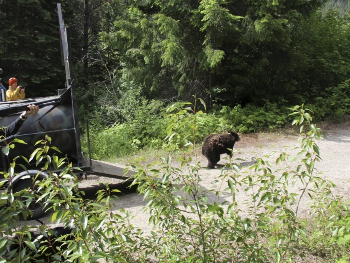 ΦΩΤΟ ΑΡΧΕΙΟΥ REUTERS
