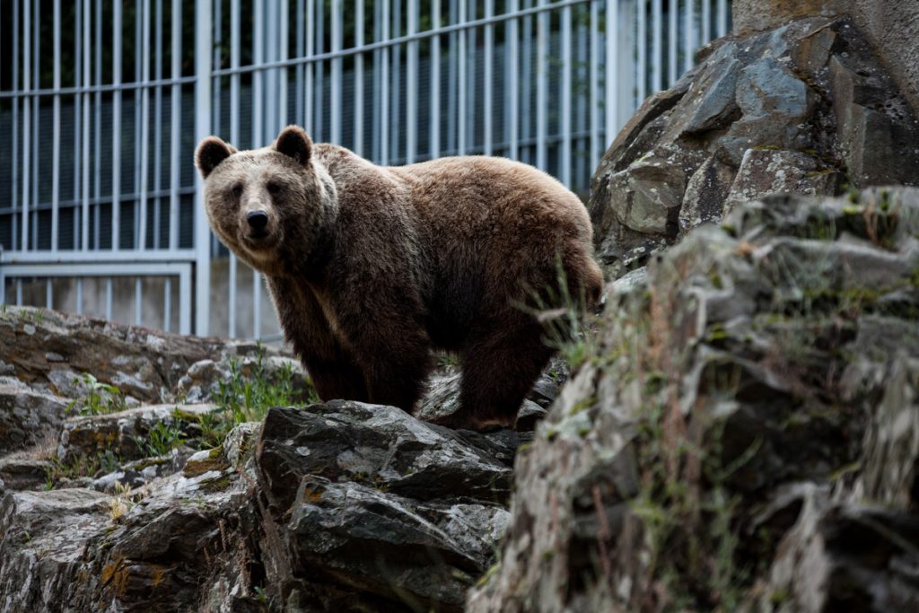 ΦΩΤΟ ΑΡΧΕΙΟΥ EUROKINISSI