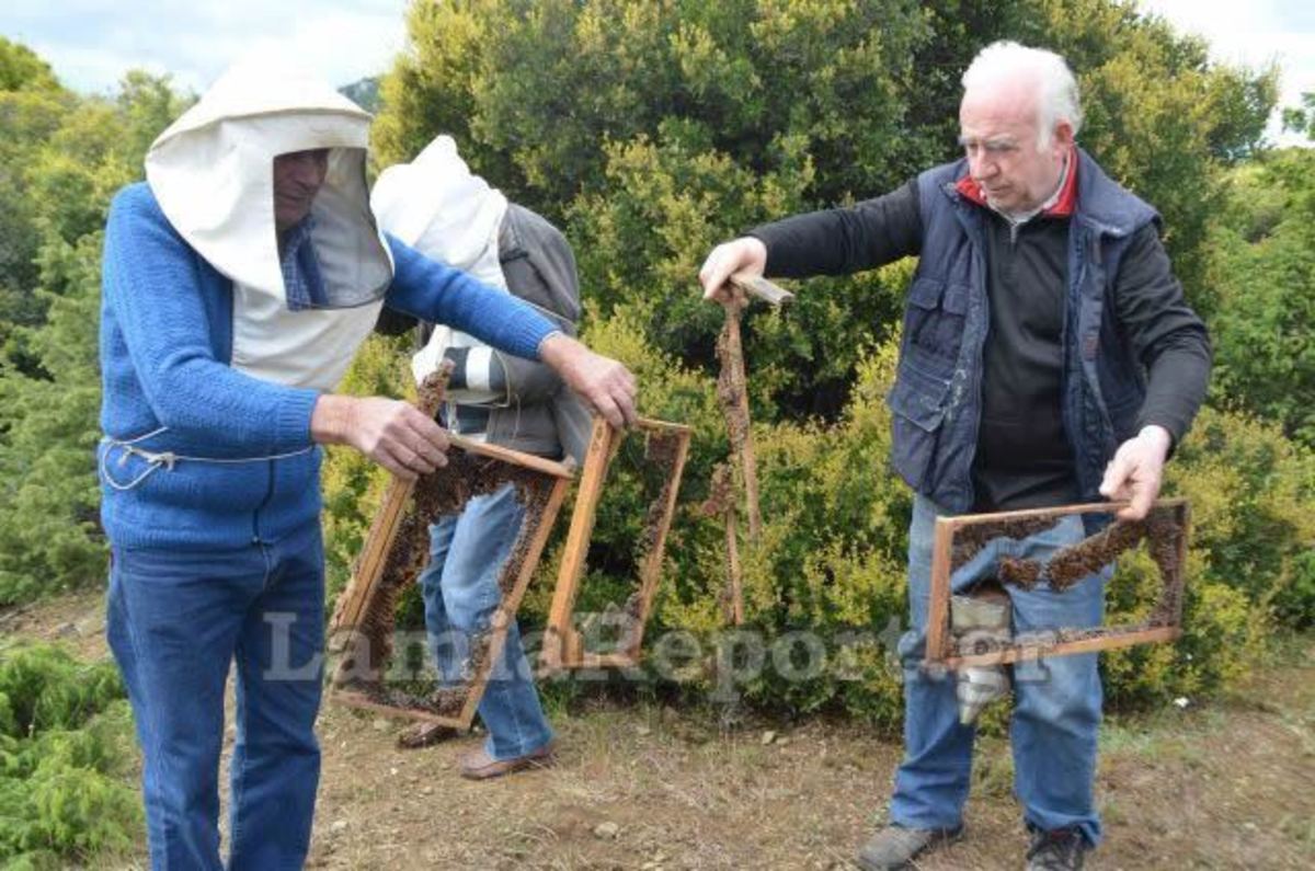 ΦΩΤΟ από το LamiaReport