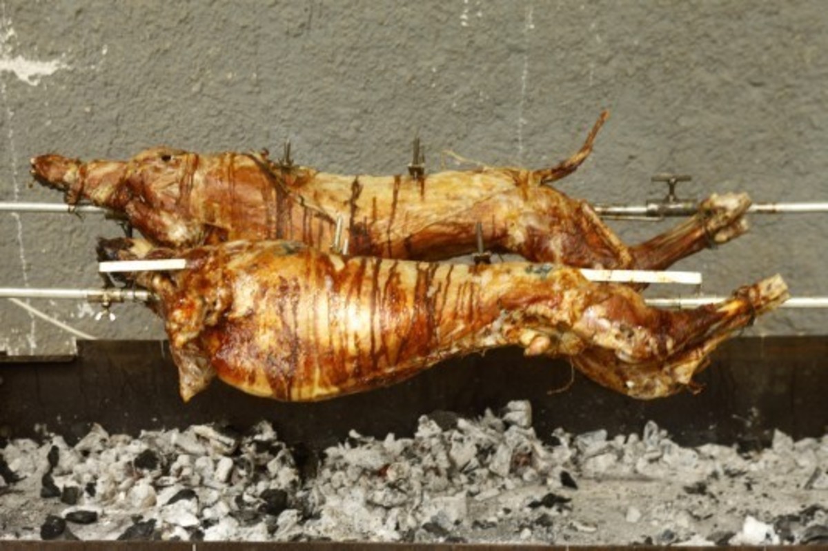 Επεισοδιακή Ανάσταση στην Πάτρα: Το αρνί, οι φιλόζωοι και οι μηνύσεις!