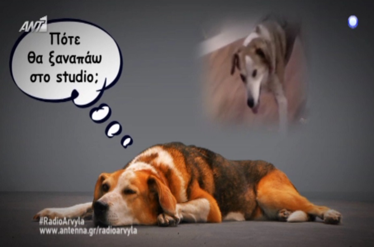 Αυτό είναι το τρέιλερ των Ράδιο Αρβύλα!