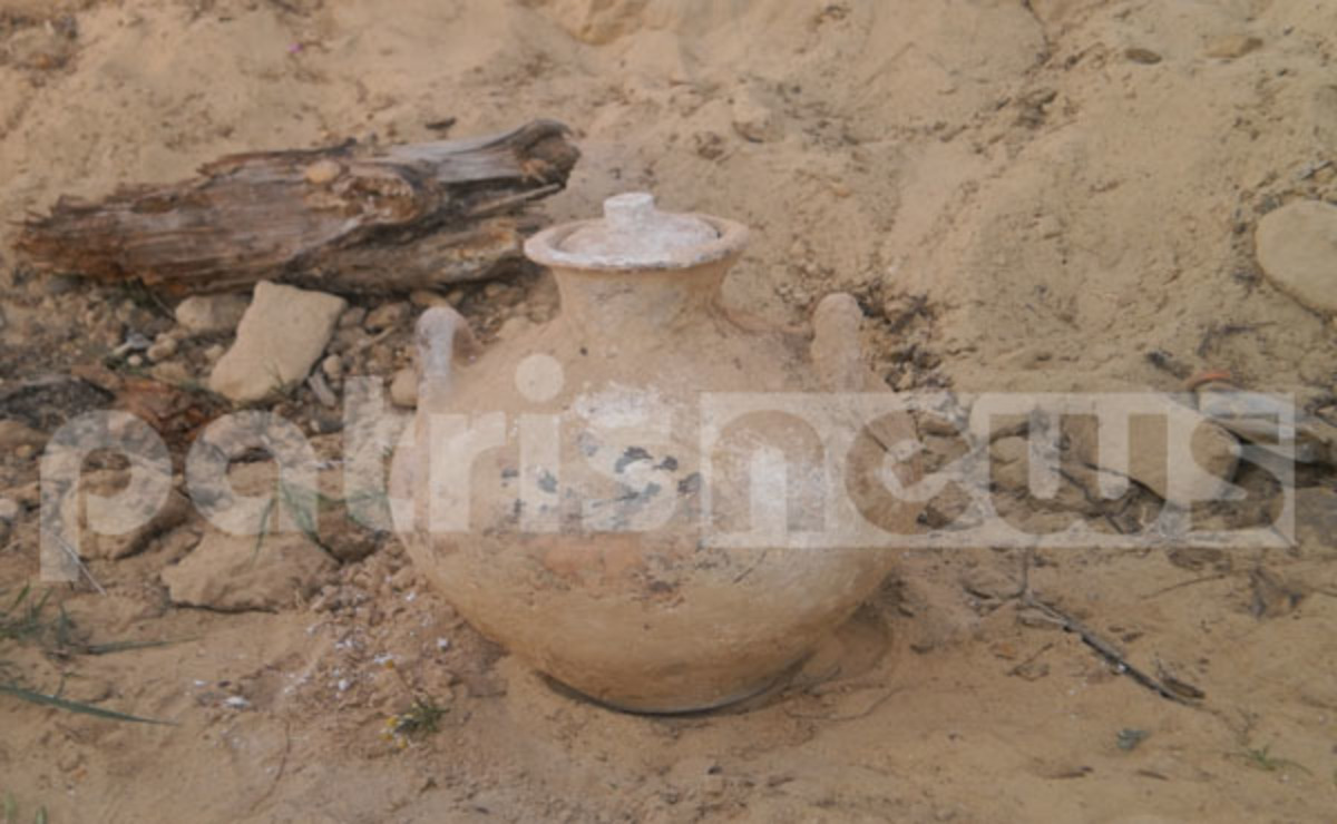 Ηλεία: Τα… κατσίκια ανακάλυψαν αρχαιολογικό θησαυρό! (ΦΩΤΟ)