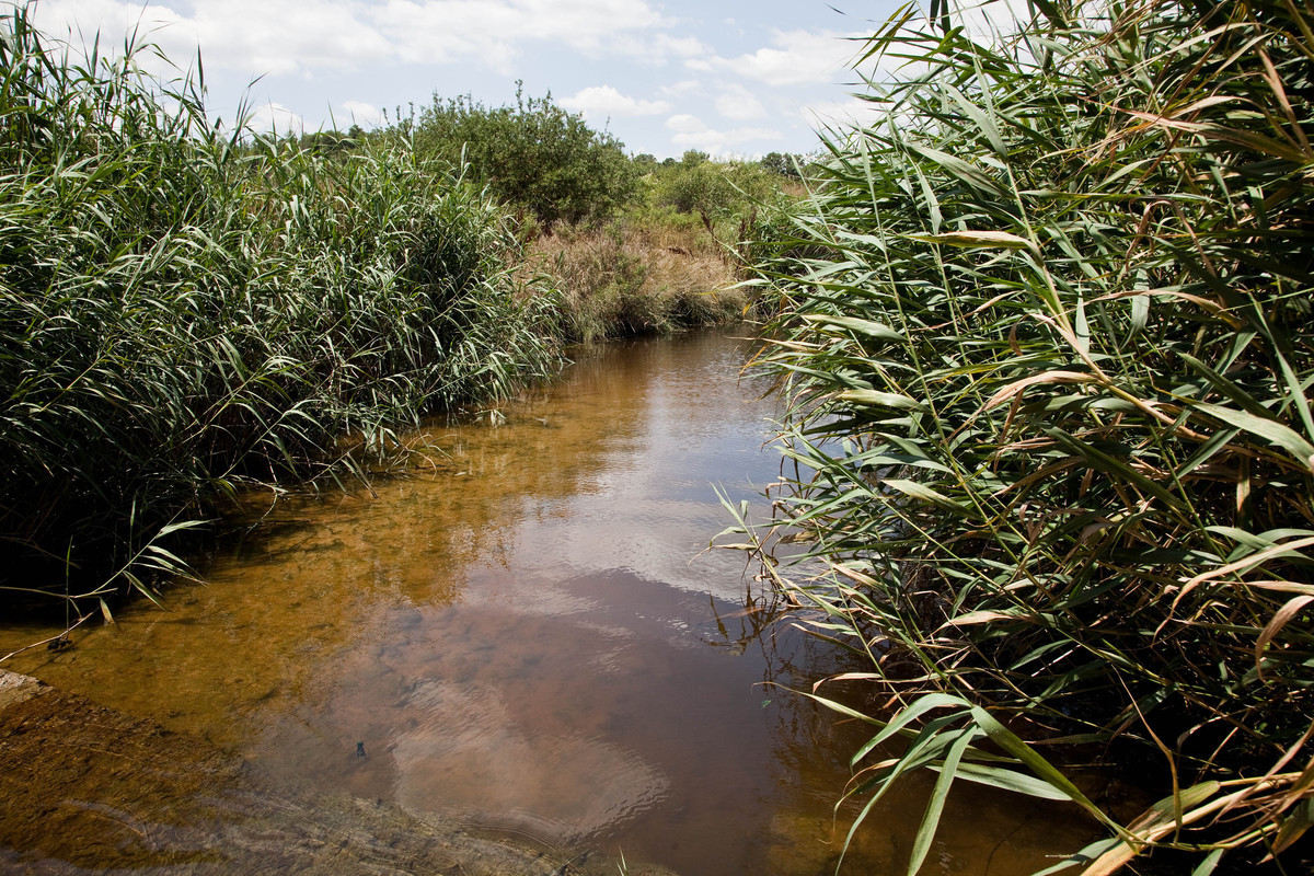 Ομάδα εργασίας για να βρεθεί λύση για τον Ασωπό