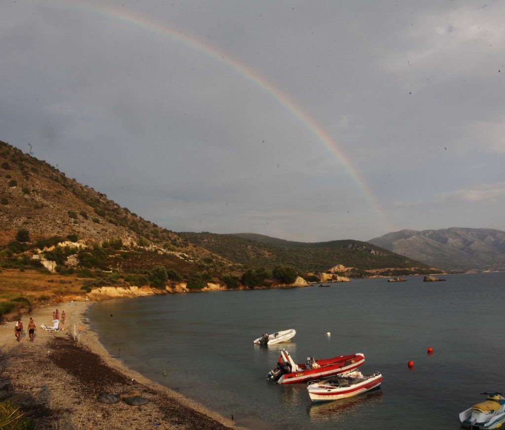ΑΣΤΑΚΟΣ