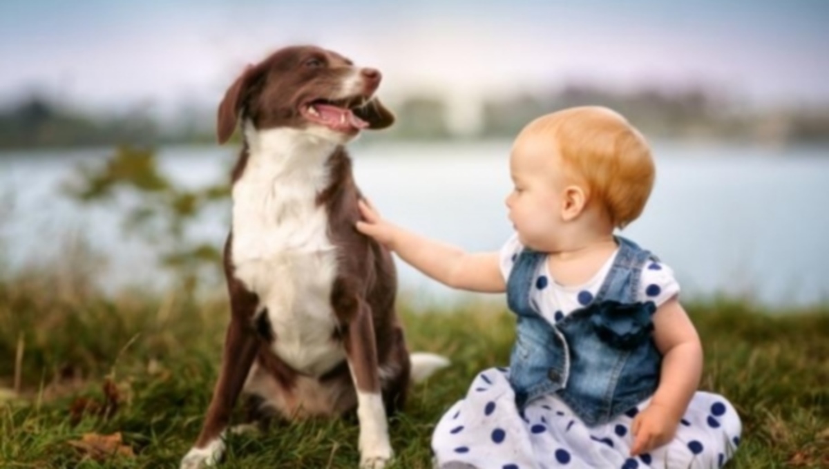 Πώς να μειώσετε την πιθανότητα να εκδηλώσει άσθμα το παιδί σας