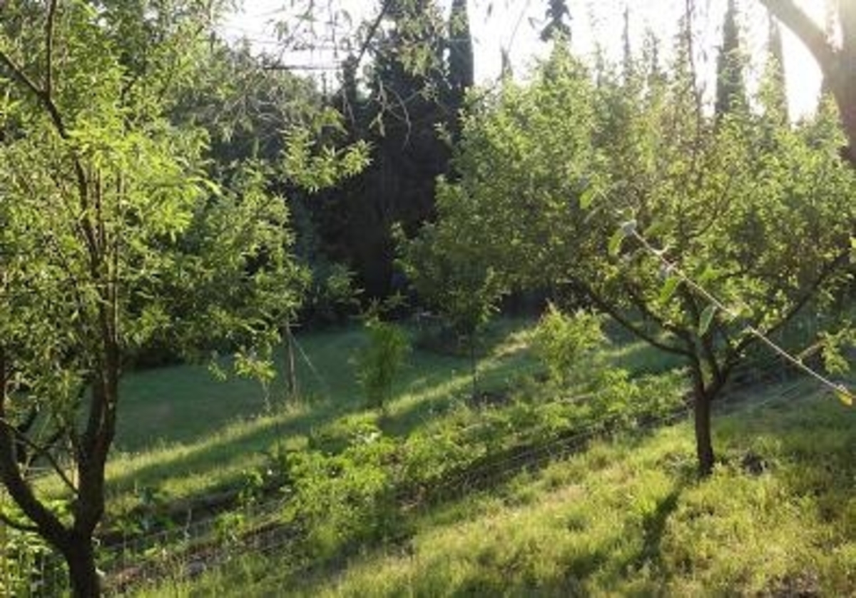 ΦΩΤΟ από evianews.com