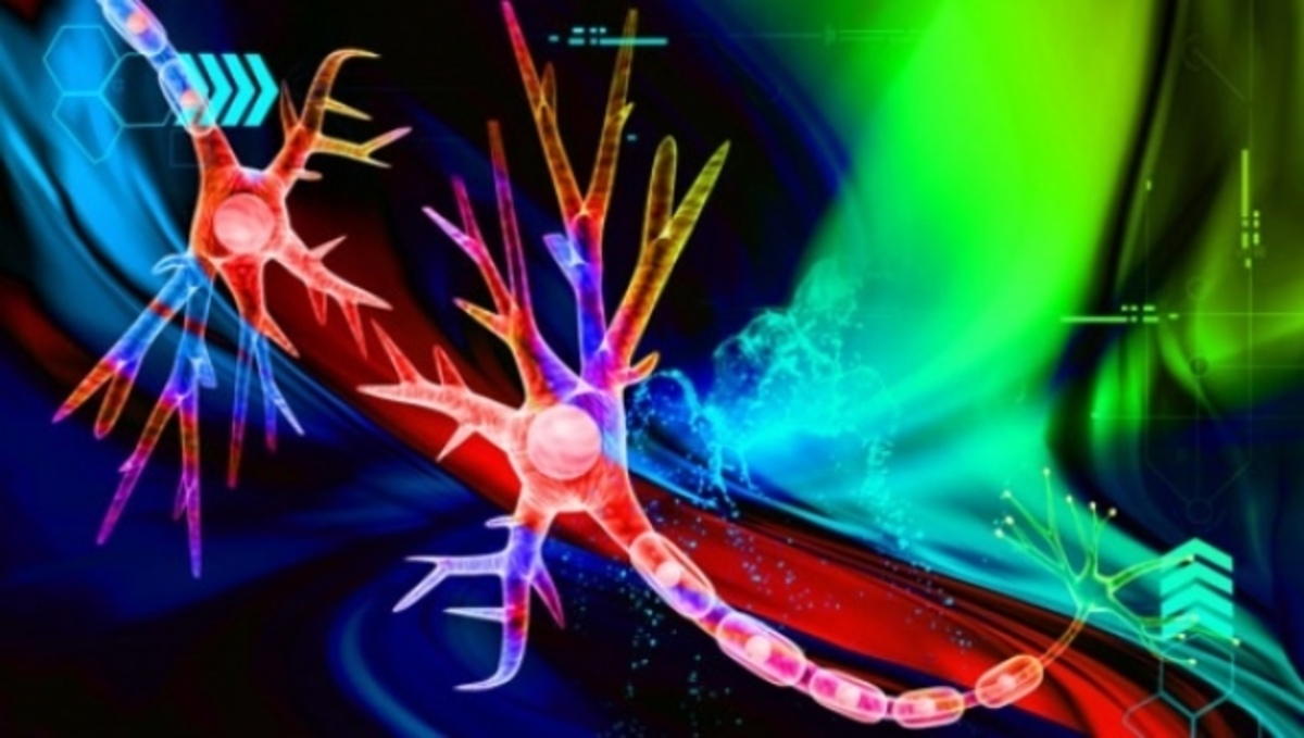 Αυτοάνοσα: Όταν ο οργανισμός επιτίθεται στον εαυτό του – Τα συχνότερα νοσήματα