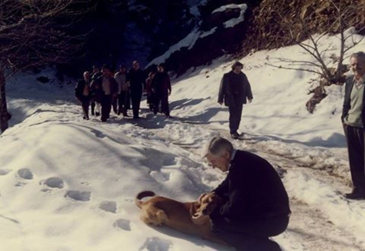 Κώστας για Παύλο Μπακογιάννη: Έδινα 10 χρόνια για 10 λεπτά ακόμα