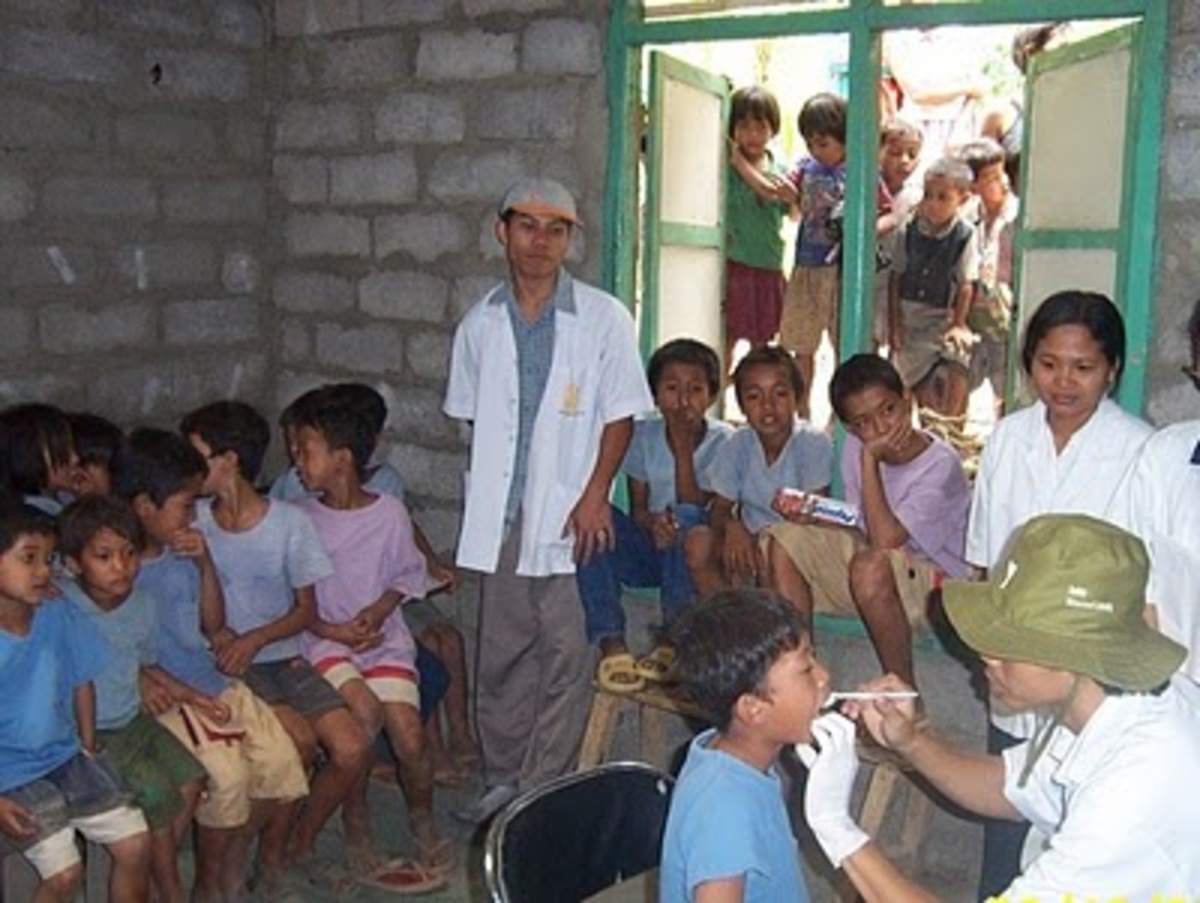 100 νεκροί στο Μπαλί από επιδημία λύσσας