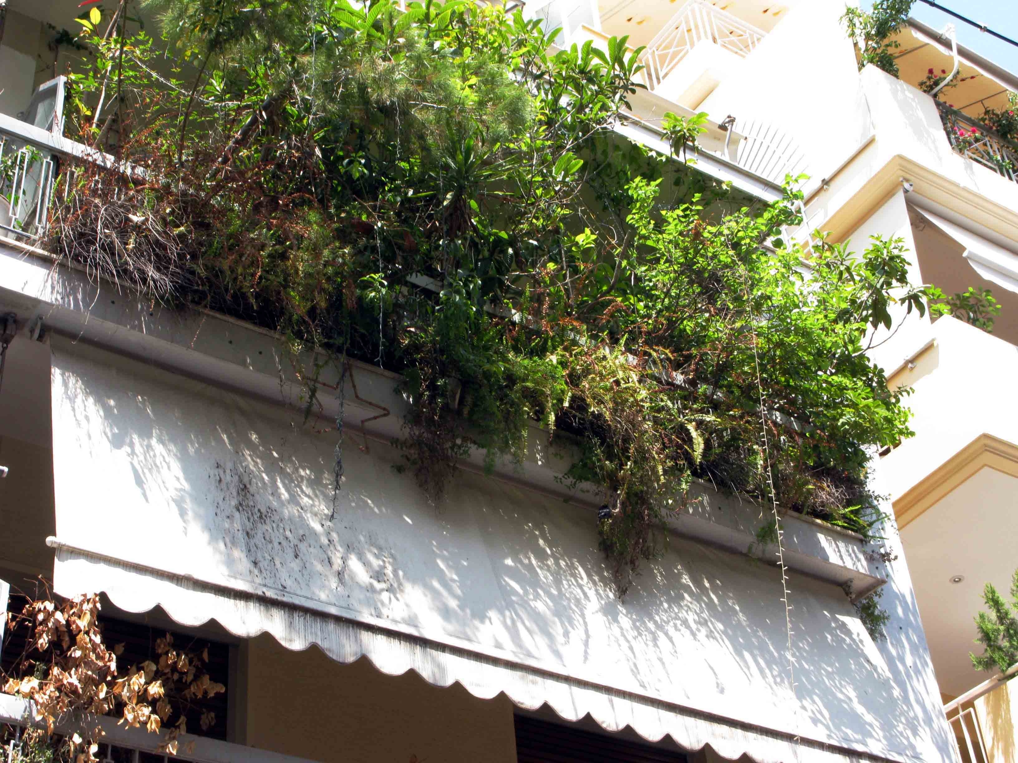 Ξάνθη: Έπεσε από τον τρίτο και… σώθηκε