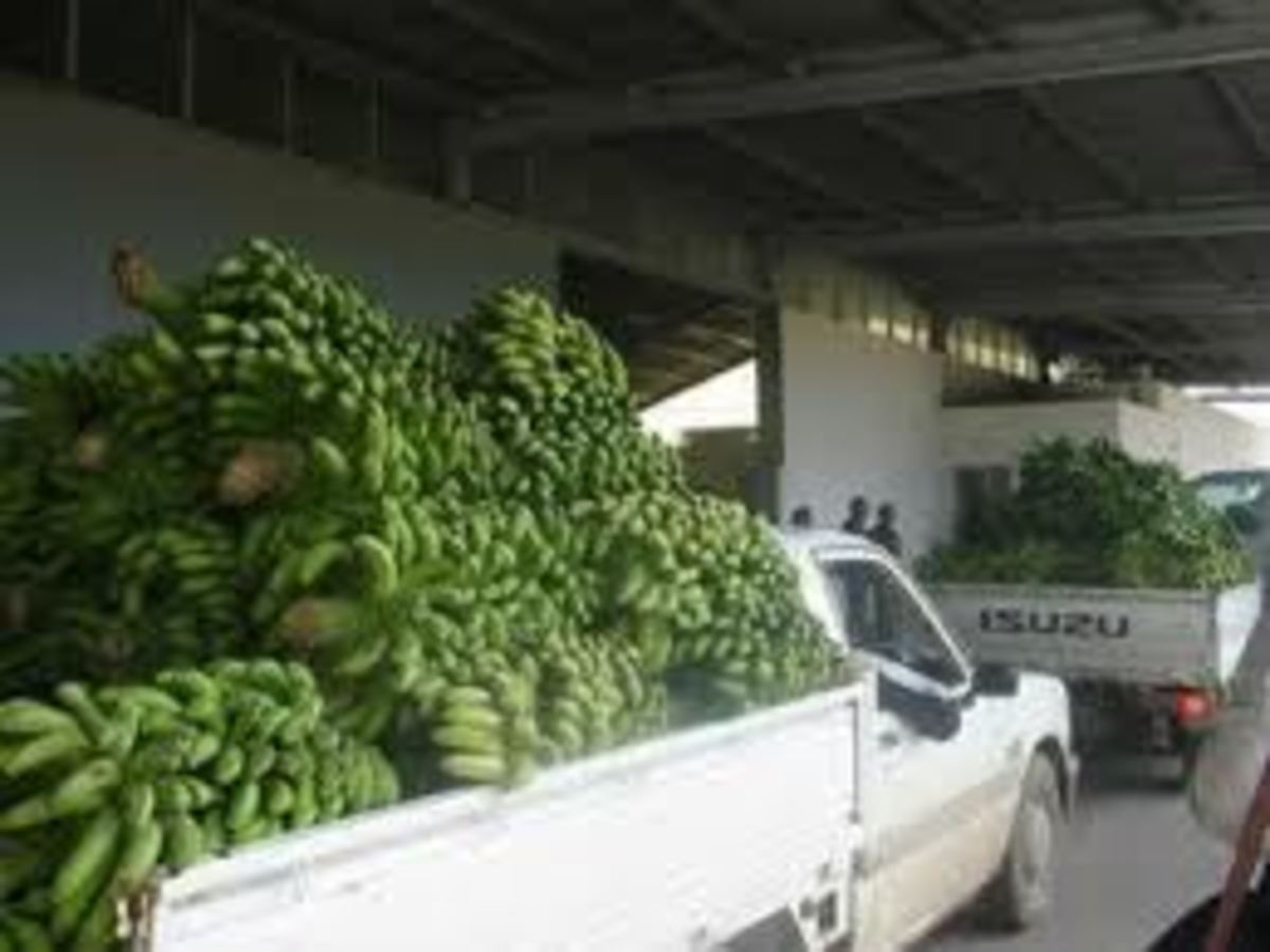 ΦΩΤΟ από flashnews.gr