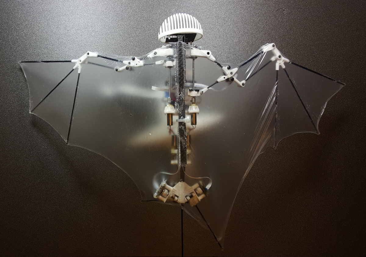 Έφτιαξαν ιπτάμενο ρομπότ νυχτερίδα [pic]
