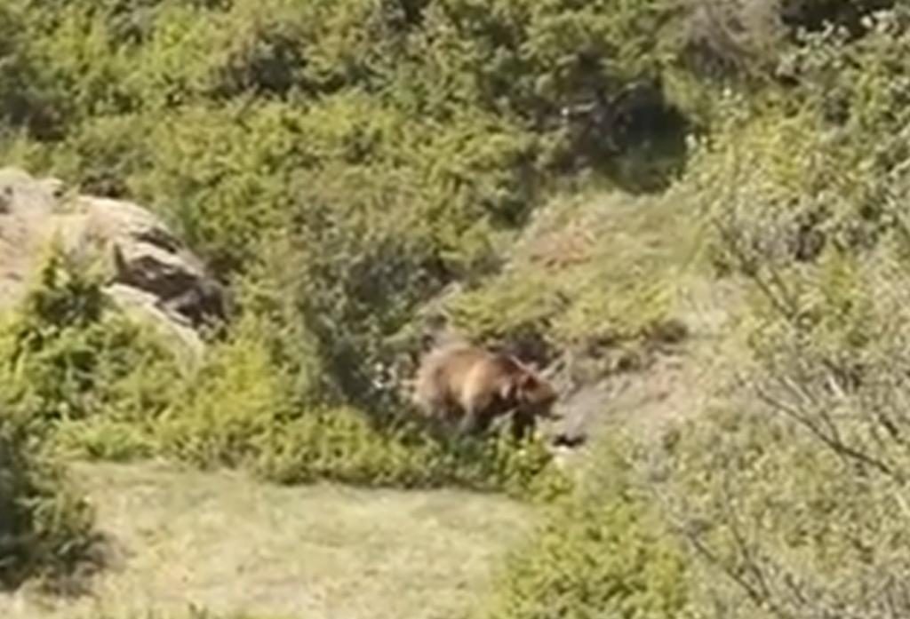 ΦΩΤΟ από το kozan.gr