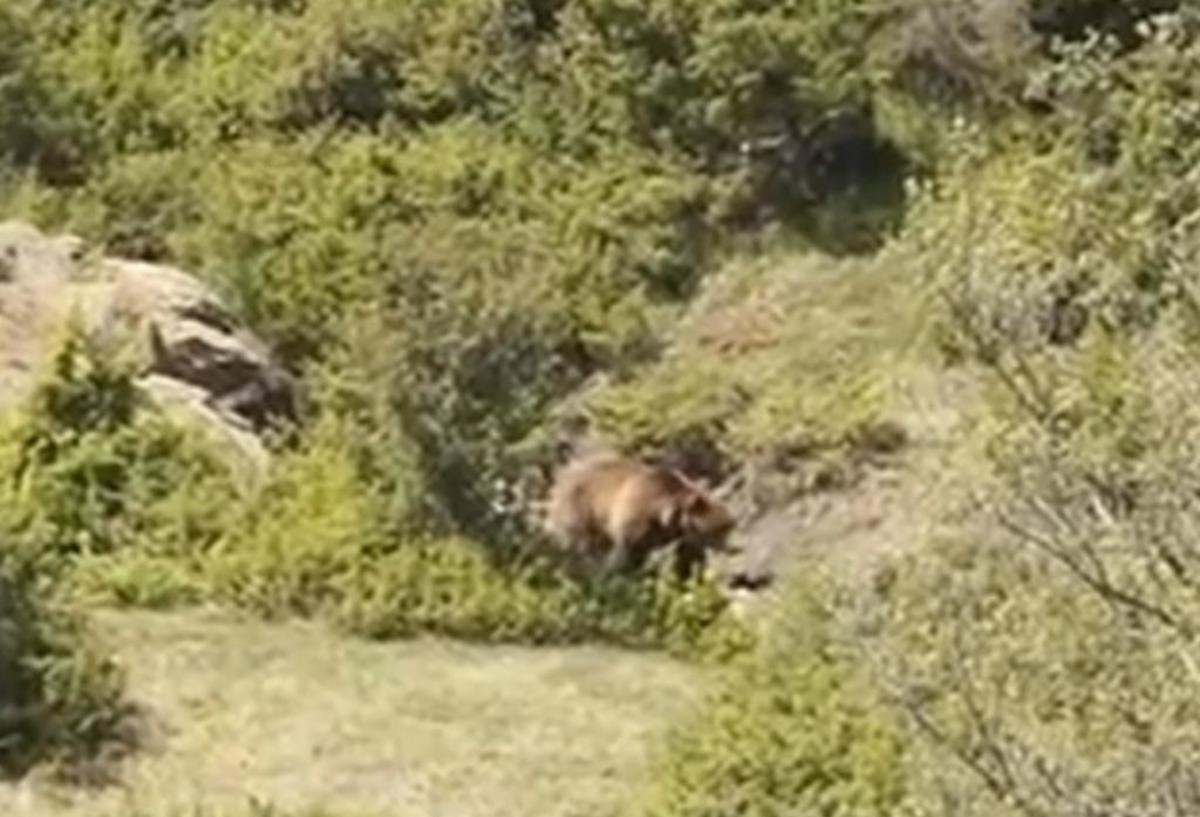 ΦΩΤΟ από το kozan.gr