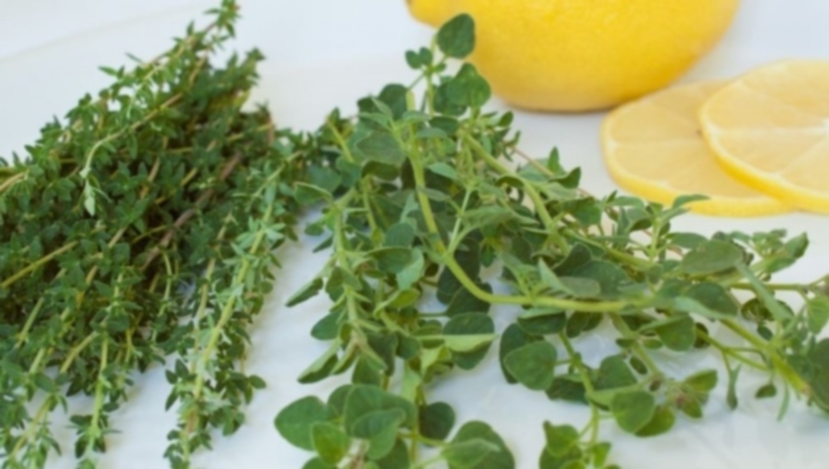 Ελληνικό μυρωδικό βότανο προστατεύει από υπέρταση και καρκίνο – Δείτε ποιο είναι