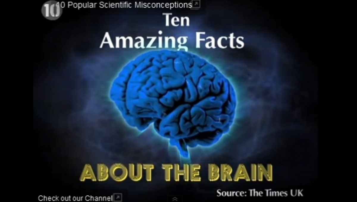 10 πράγματα για τον εγκέφαλο που δεν ξέρετε – ΒΙΝΤΕΟ
