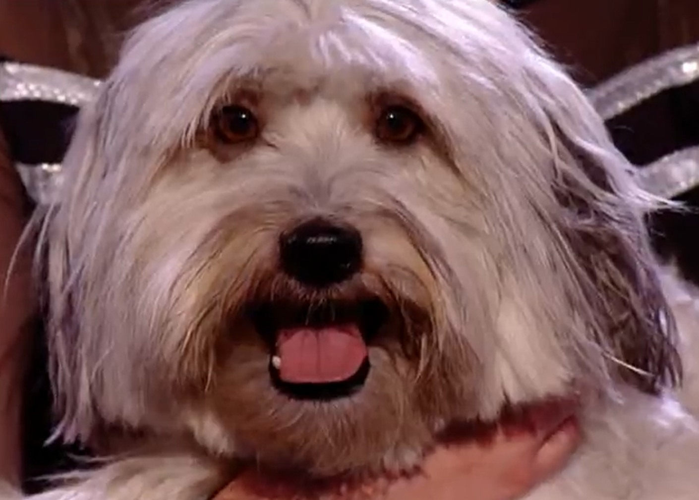 Αυτός είναι ο μεγάλος νικητής του Βρετανία Έχεις Ταλέντο!