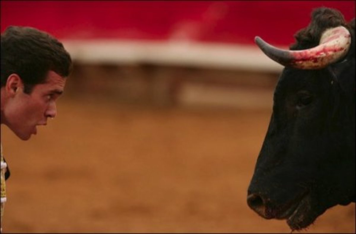 Ταύρος τραυματίζει ταυρομάχο – Προσοχή σκληρό βίντεο