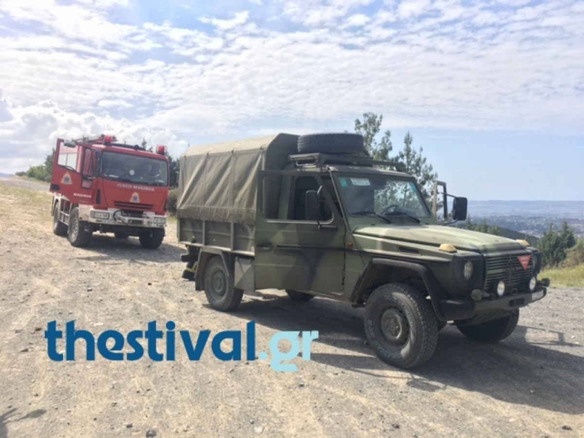 ΦΩΤΟ από thestival.gr