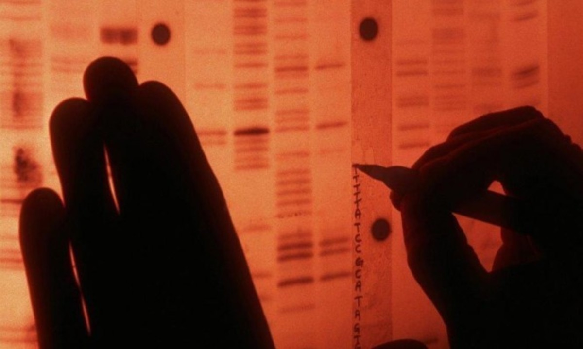 Επιστήμονες βρήκαν την “Αχίλλειο πτέρνα” του καρκίνου – Τι αλλάζει από εδώ και πέρα (BINTEO)