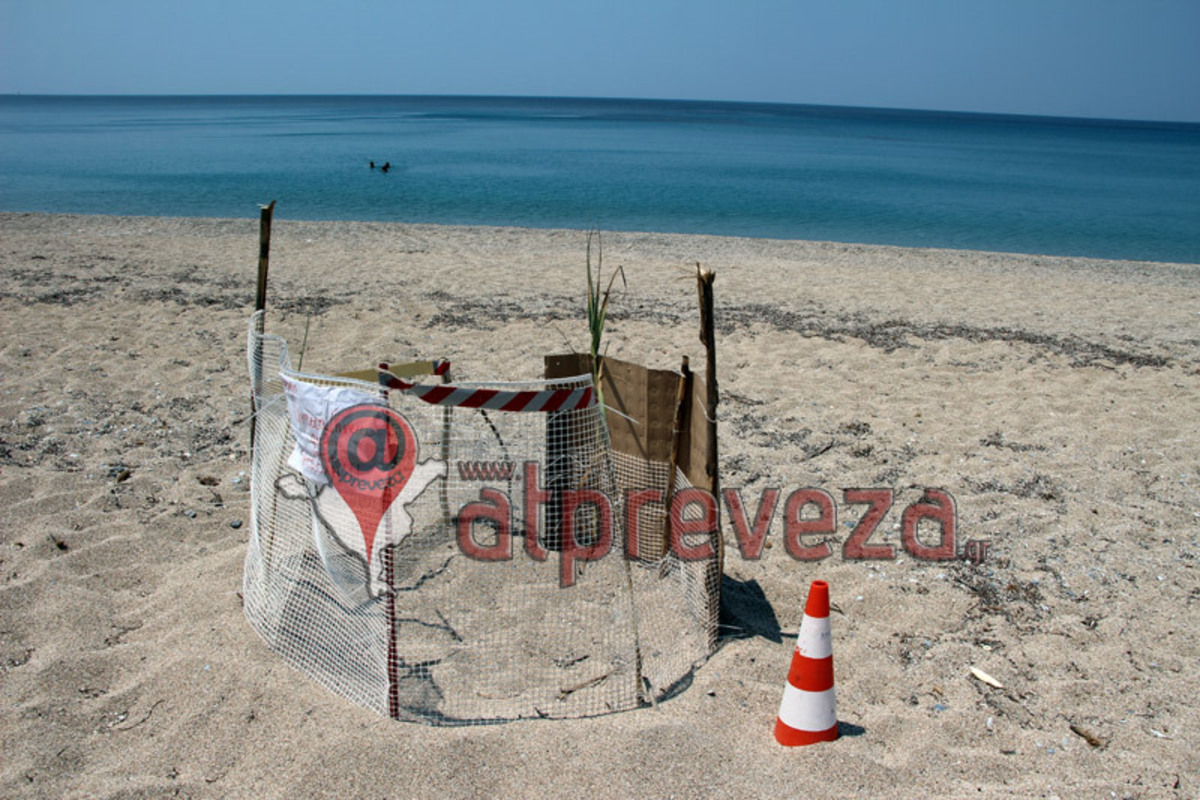 Πρέβεζα: Γέννησε Caretta Caretta στο Μονολίθι! ΦΩΤΟ