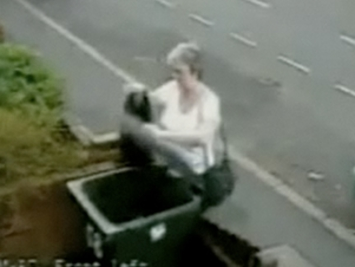 Κατάπληκτη από τις αντιδράσεις δηλώνει η γυναίκα που πέταξε γατάκι στα σκουπίδια