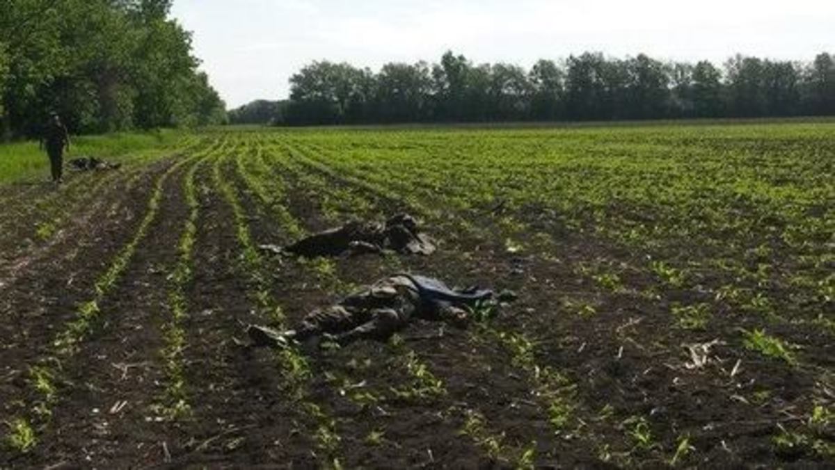 Νεκροί Ουκρανοί στρατιώτες μετά τις συγκρούσεις με φιλορώσους στο Ντονέτσκ ΦΩΤΟ: kyivpost.com