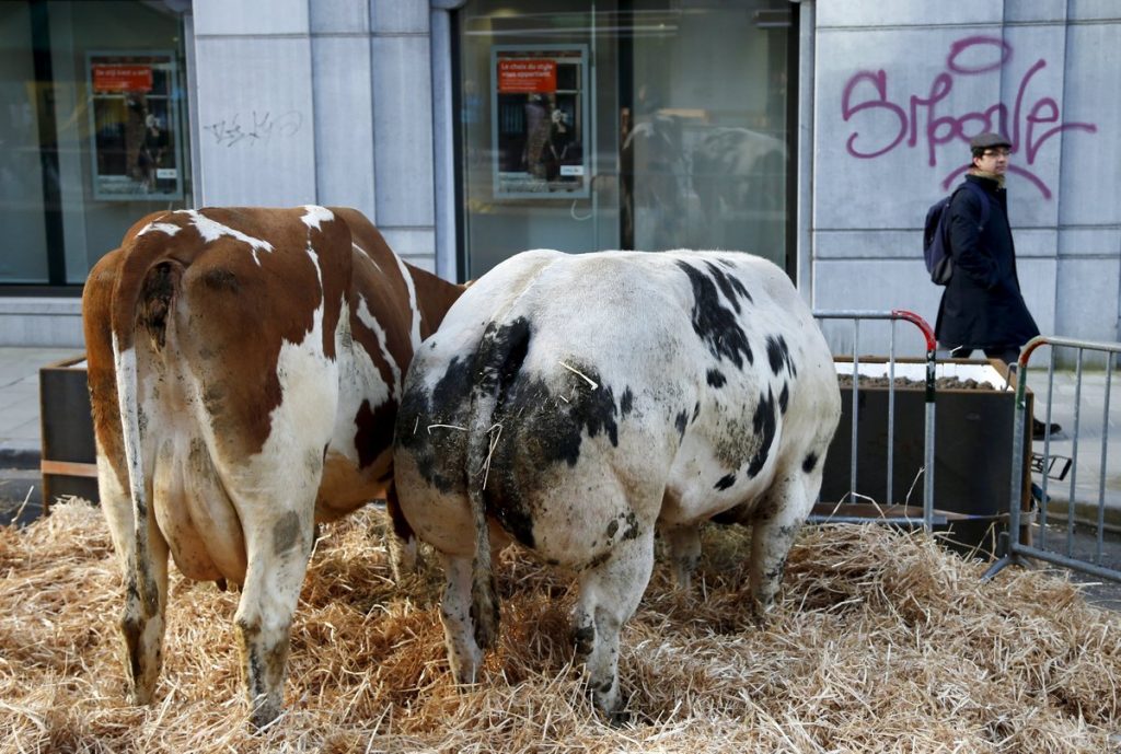 Κρούσμα τρελών αγελάδων στην Γαλλία