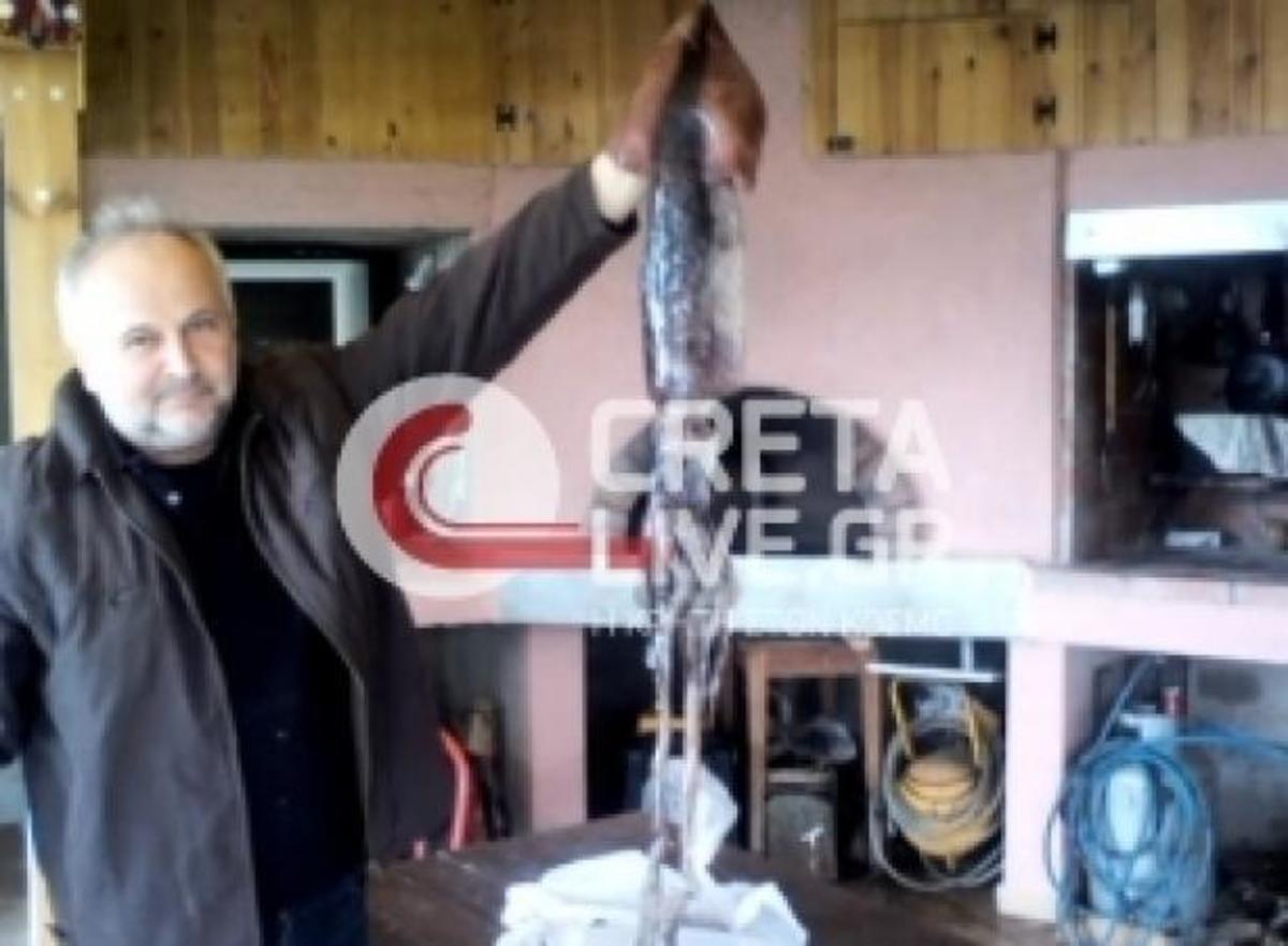 ΦΩΤΟ από cretalive