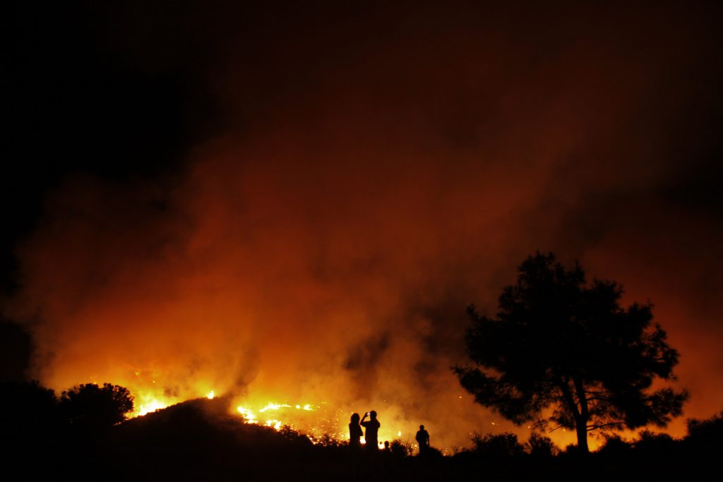 Υπό πλήρη έλεγχο η πυρκαγιά στην Κύπρο