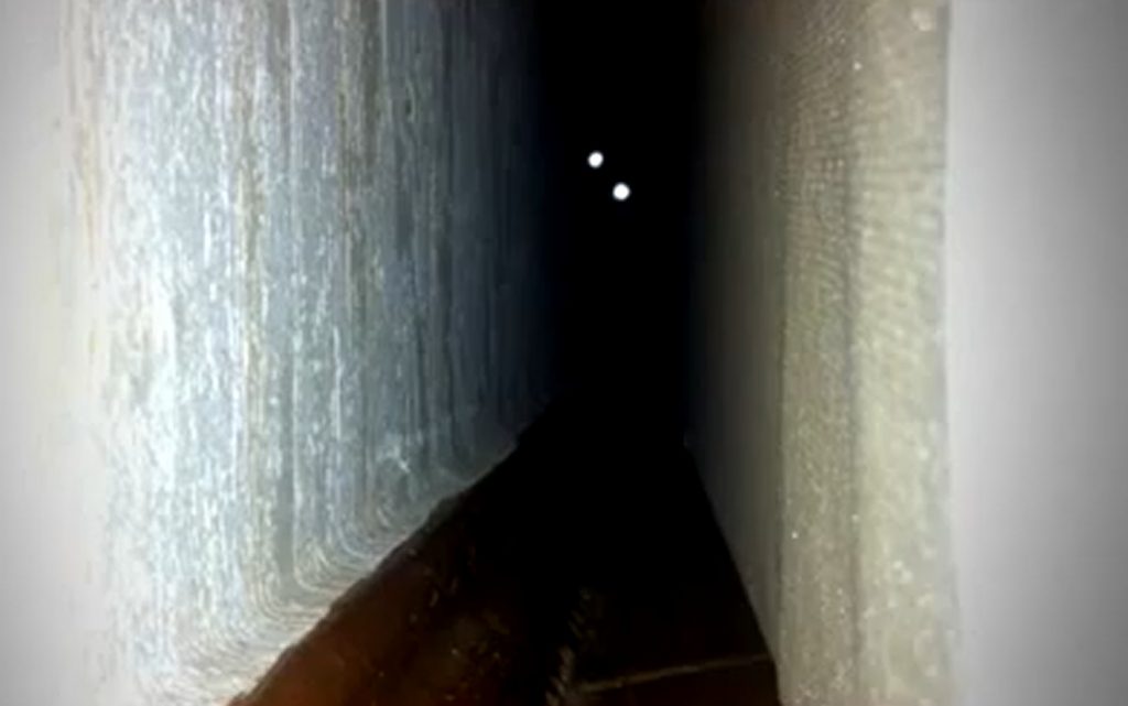 Δαίμονας ή γάτα;