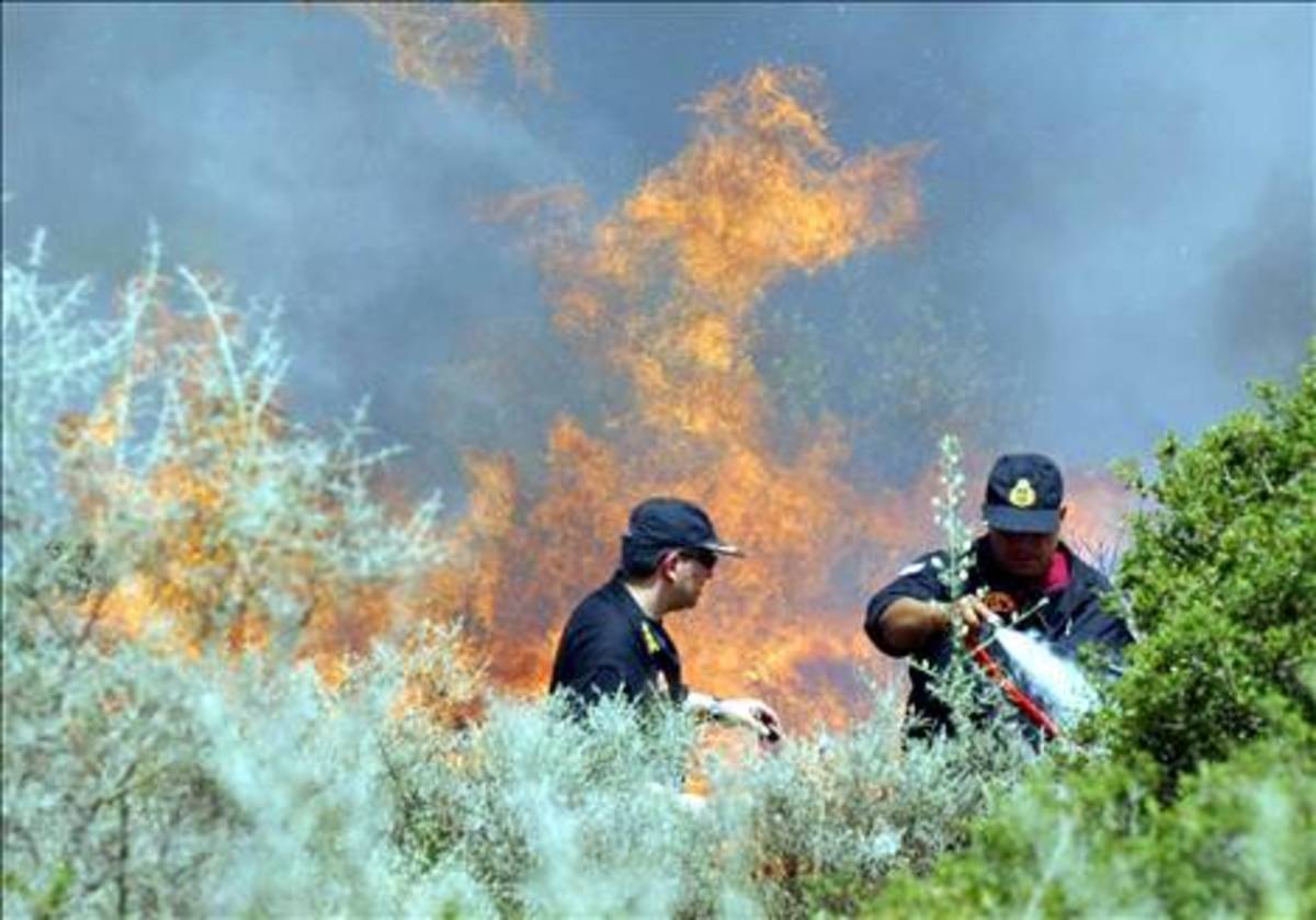 Φωτιά ΤΩΡΑ στην Ανάβρα Μαγνησίας