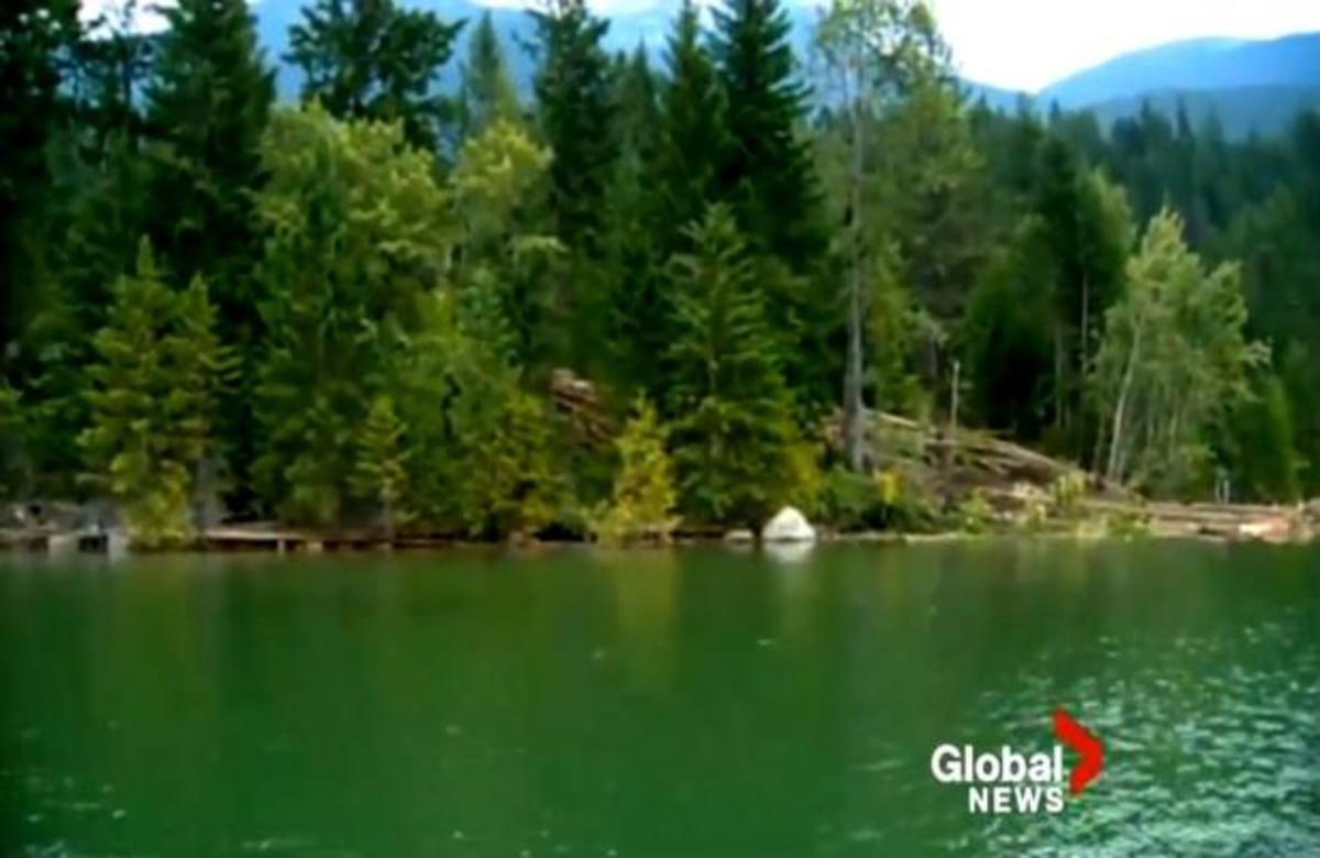 ΤΡΟΜΕΡΟ! Δείτε προσεκτικά τι θα συμβεί ξαφνικά στο δάσος!