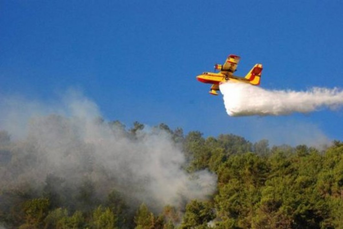 Η  οικονομική κρίση αποδεκατίζει τα δάση της Μεσογείου