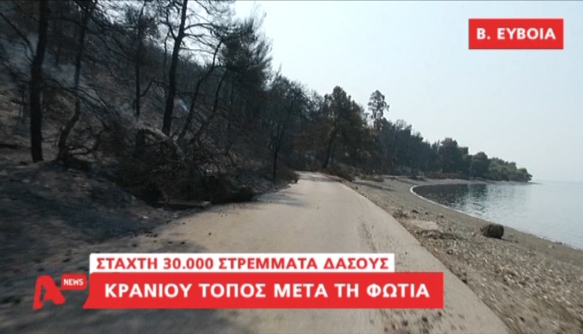 Εύβοια: Στάχτη 30 χιλιάδες στρέμματα