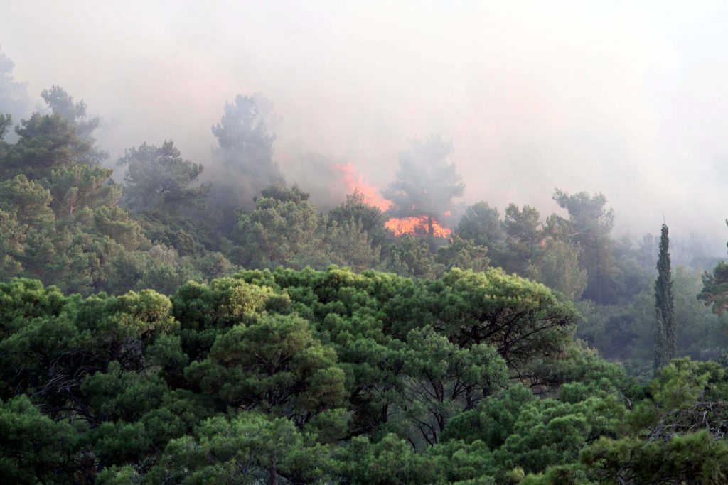 Πυρκαγιά σε δασική περιοχή στην Μυτιλήνη