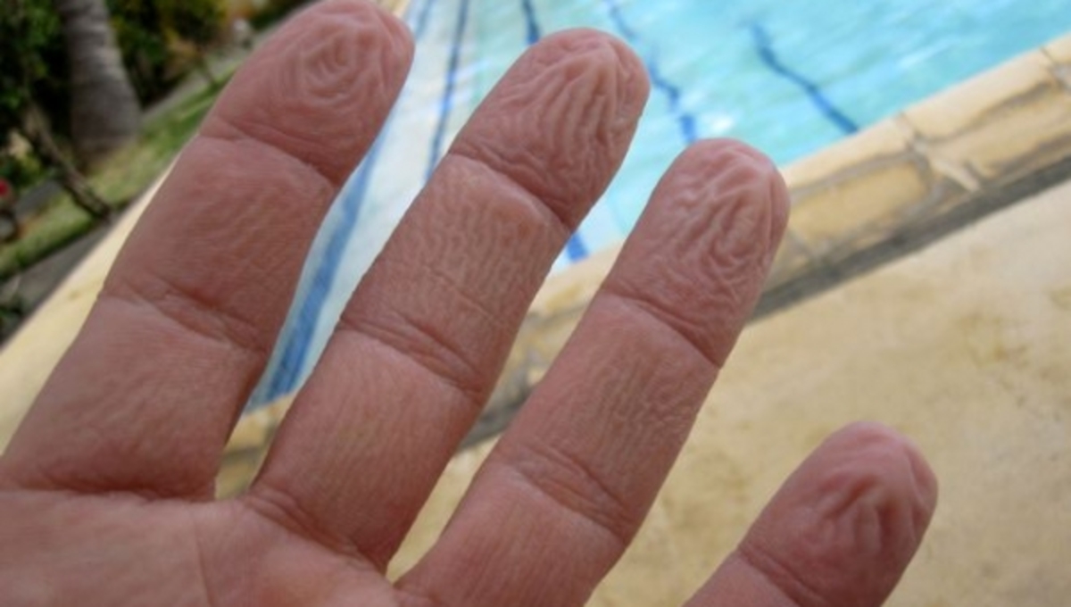 Γιατί μουλιάζουν τα δάχτυλα μας στο νερό;