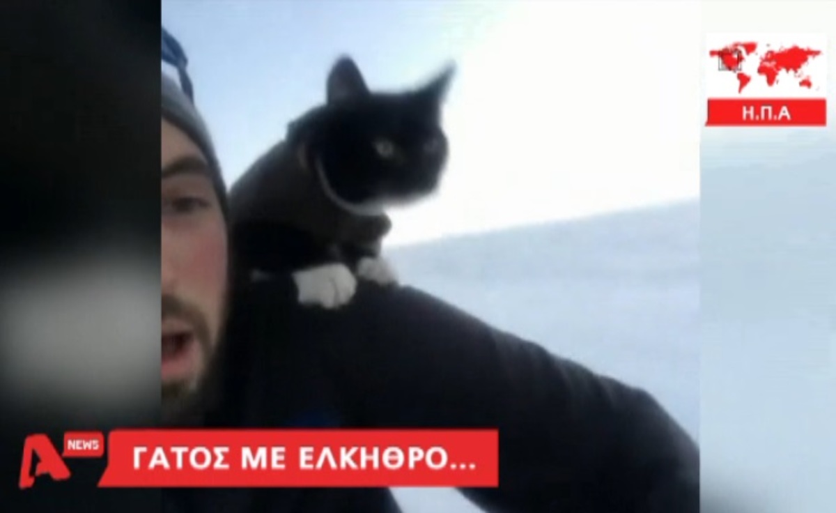 Τα καλύτερα των δελτίων