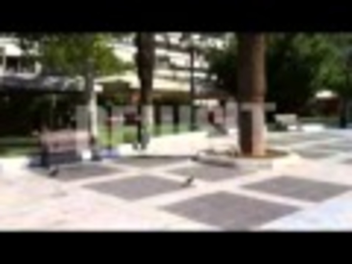 Ρατσιστική επίθεση στην Καλλιθέα