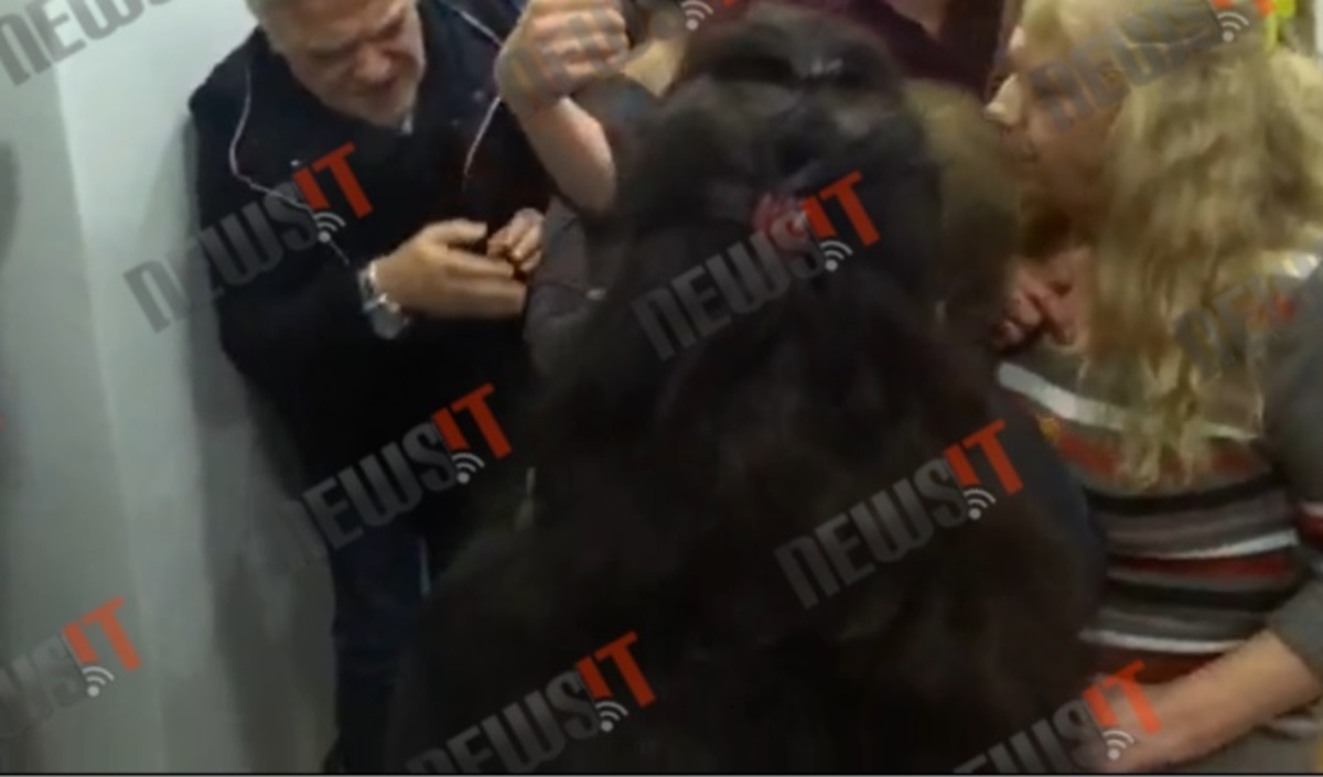 Ξύλο στη Λουκάρεως