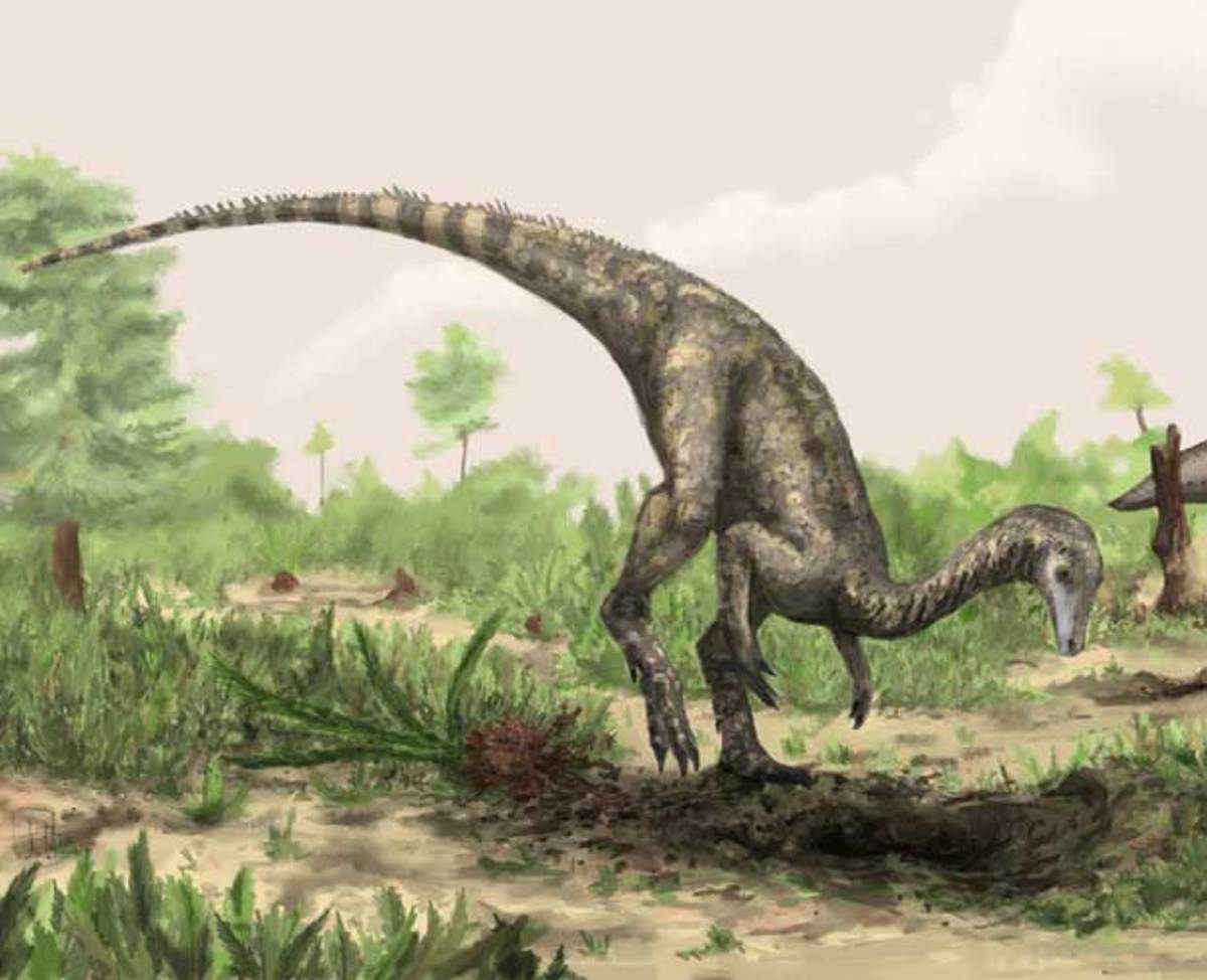Βρήκαν τον πρώτο δεινόσαυρο του κόσμου;