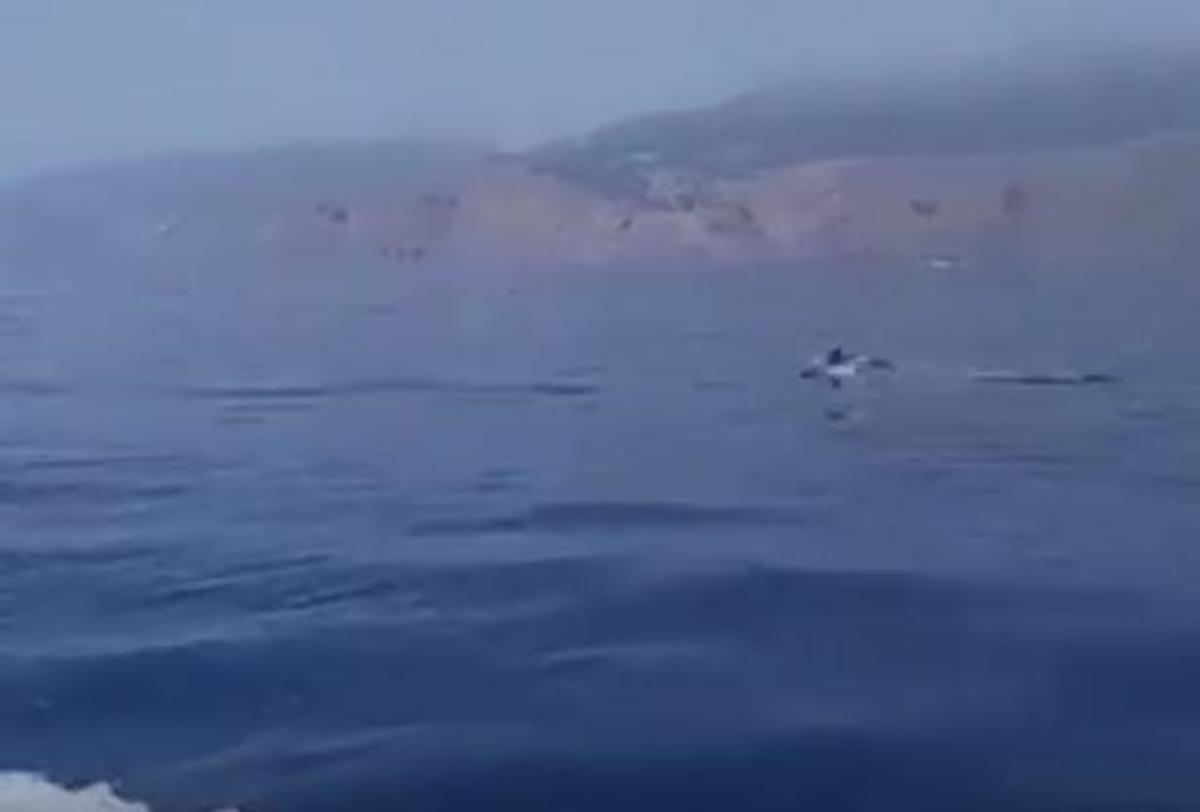 Εικόνα από το CretaPost